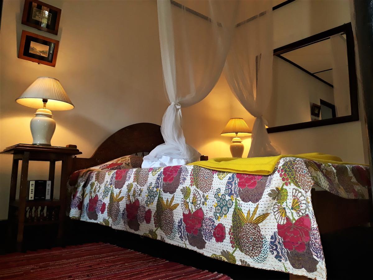 The Icebear Guesthouse Негомбо Екстер'єр фото